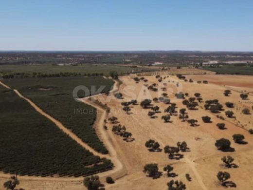 Avis, Distrito de Portalegreの土地