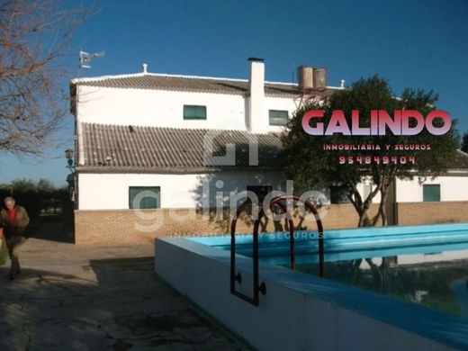 Villa in Marchena, Province of Seville