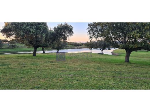 Boerderij in Malpartida de Plasencia, Provincia de Cáceres