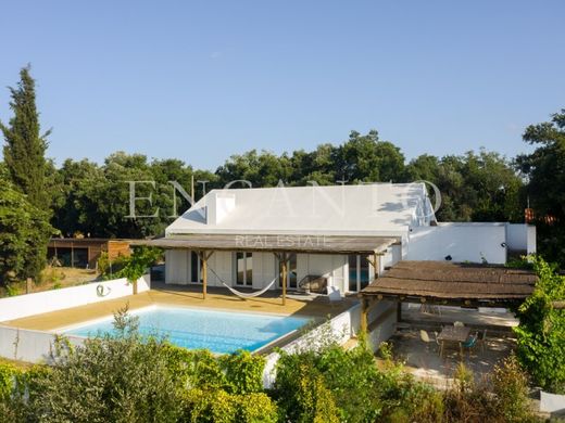 Luksusowy dom w Montemor-o-Novo, Montemor-O-Novo