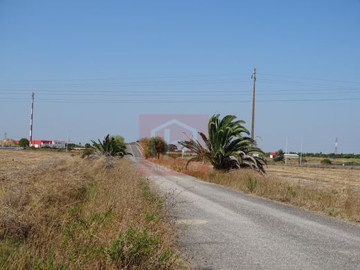 Benavente, Distrito de Santarémの土地