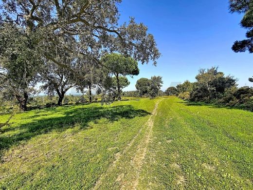 Grundstück in Sesimbra, Distrito de Setúbal