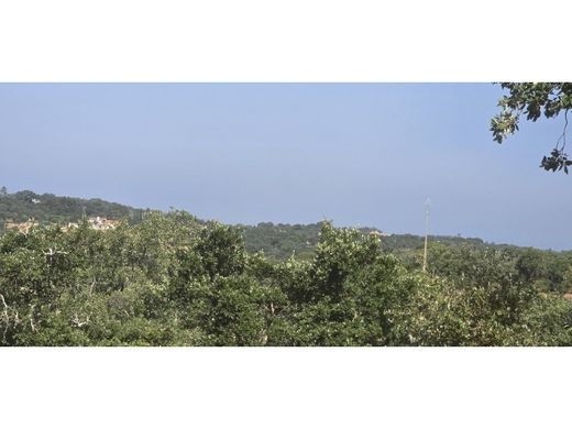 地皮  Santiago do Cacém, Distrito de Setúbal