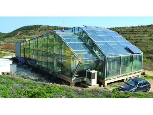 Fazenda - Lagos, Faro