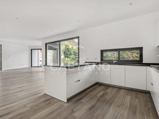 빌라 / Ribeira Brava, Madeira