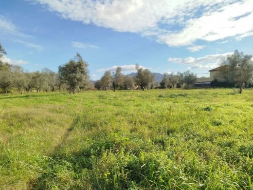 Teren w Ponte de Lima, Distrito de Viana do Castelo