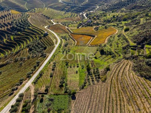 منزل ﻓﻲ Carrazeda de Anciães, Carrazeda de Ansiães