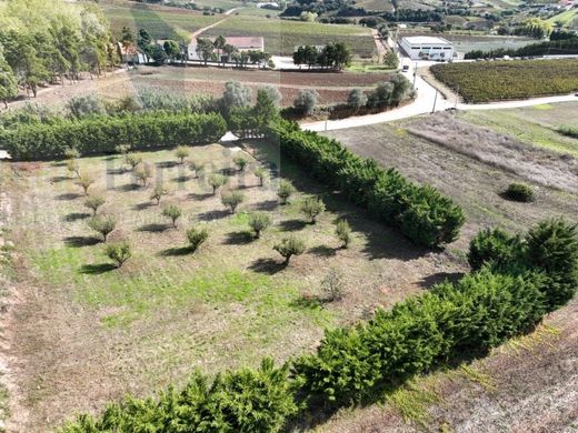 Участок, Торреш, Torres Vedras