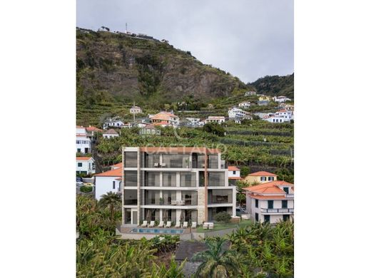 Apartment in Ponta do Sol, Madeira