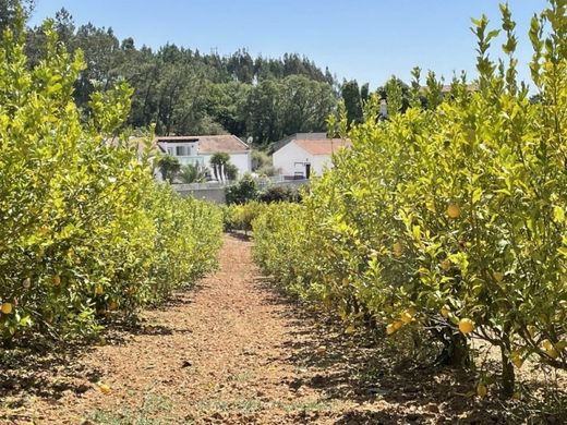 Luxury home in Alcobaça, Distrito de Leiria