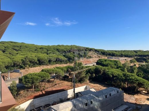 Daire Oeiras, Distrito de Lisboa