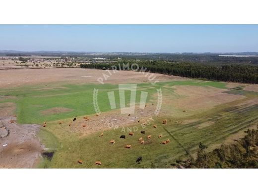 Ferme à Odemira, Distrito de Beja