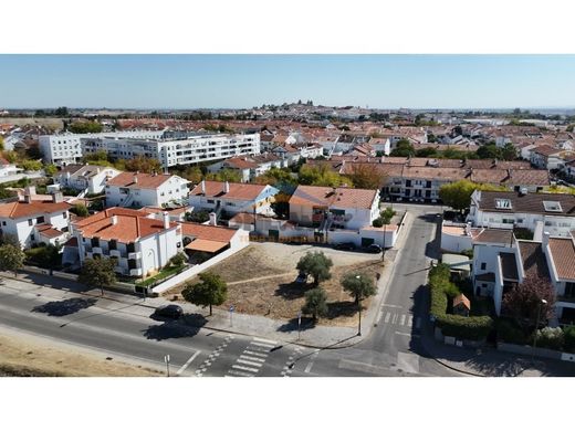 토지 / Évora, Distrito de Évora