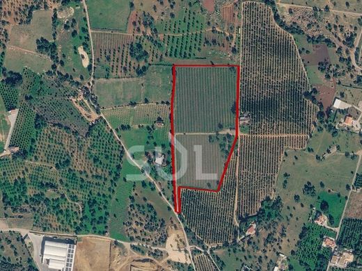 Teren w Faro, Distrito de Faro