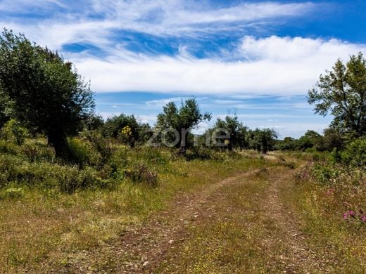 Land in Borba, Distrito de Évora
