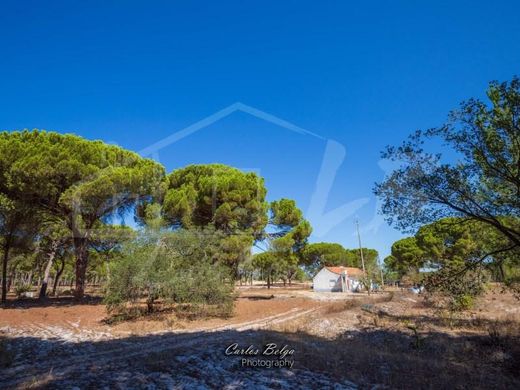 村舍/农舍  Grândola, Distrito de Setúbal