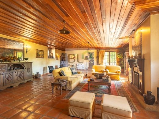 Luxe woning in Amarante, Distrito do Porto