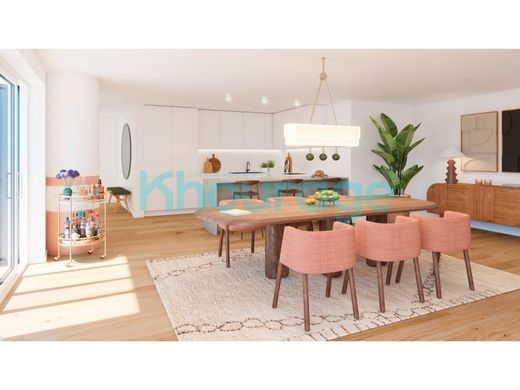 Daire Barreiro, Distrito de Setúbal