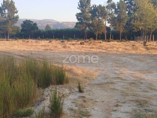 Arsa Seia, Distrito da Guarda