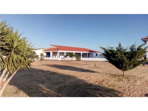 Fazenda - Alandroal, Évora