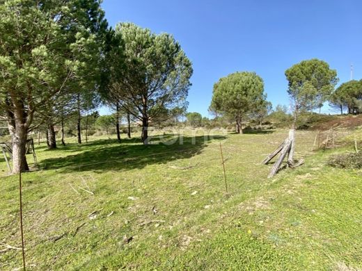 Αγροτεμάχιο σε Φιγκέιρα ντα Φους, Figueira da Foz