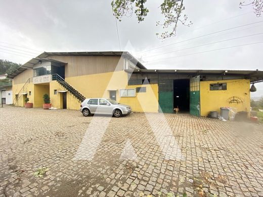 Finca en Guimarães, Braga