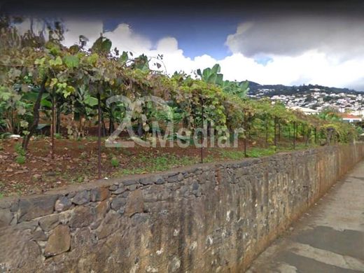 Terreno a Funchal, Madeira