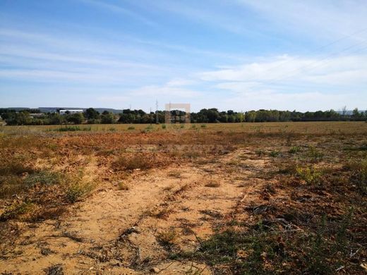 Grundstück in Entroncamento, Distrito de Santarém