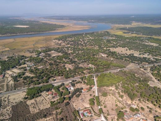 Land in Alcácer do Sal, Distrito de Setúbal