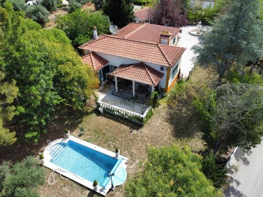 Luxury home in Tomar, Distrito de Santarém