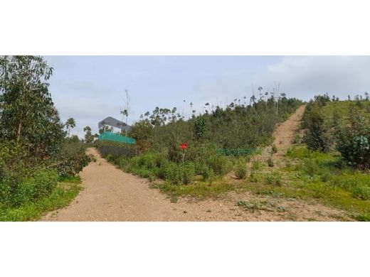 Land in Odemira, Distrito de Beja