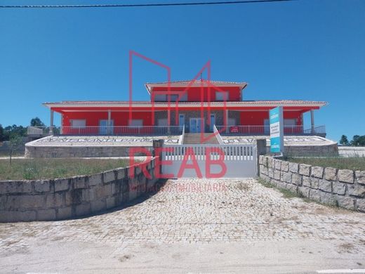 호화 저택 / Aguiar da Beira, Distrito da Guarda