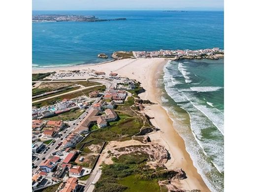 Arsa Peniche, Distrito de Leiria