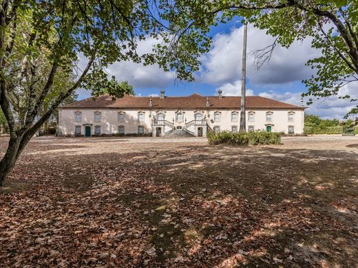Herenhuis in Anadia, Distrito de Aveiro