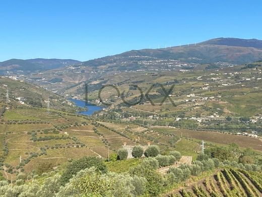 Lamego, Distrito de Viseuの高級住宅