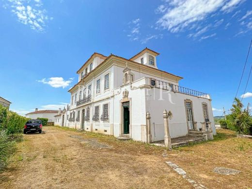 Herrenhaus in Anadia, Distrito de Aveiro