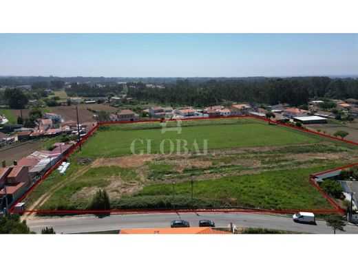 Terreno - Santa Maria da Feira, Aveiro