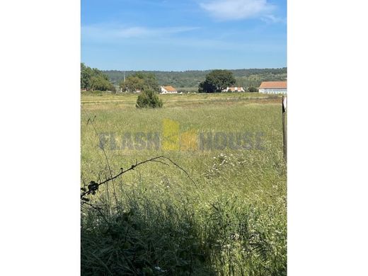 Rural or Farmhouse in Coruche, Distrito de Santarém