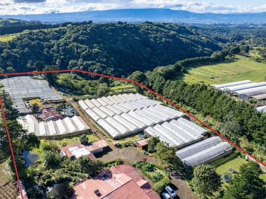 Ρουστίκ ή Αγροικίες σε Alajuela, Cantón de Alajuela