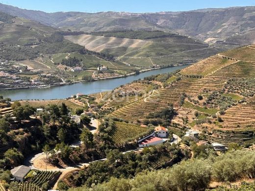 Maison de luxe à Peso da Régua, Distrito de Vila Real