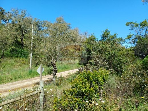 Terreno a Grândola, Distrito de Setúbal