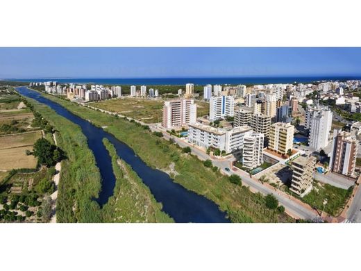 Пентхаус, Guardamar del Segura, Provincia de Alicante