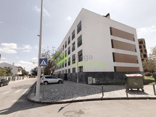 Daire Barreiro, Distrito de Setúbal