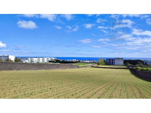 Terreno - Ponta Delgada, Açores