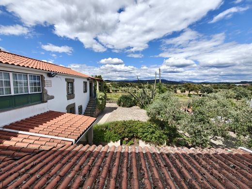 Finca en Penamacor, Castelo Branco