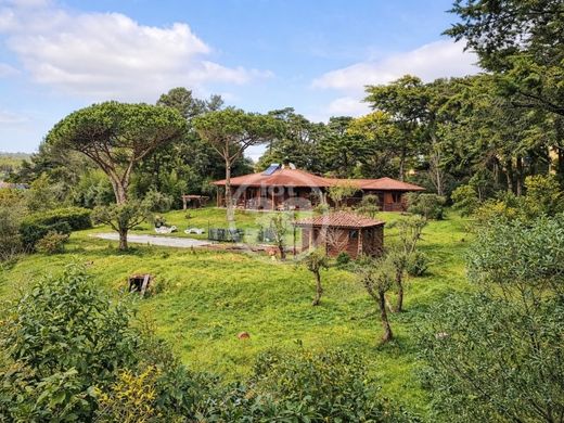 Maison de luxe à Sintra, Lisbonne