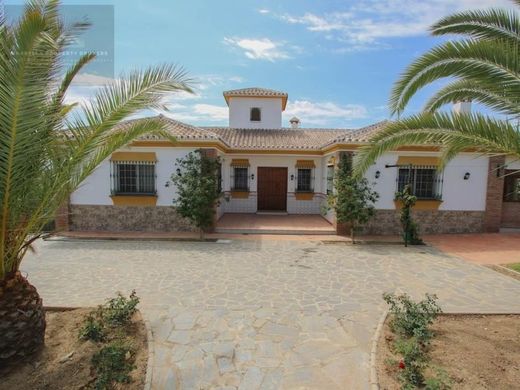 Maison individuelle à Coín, Malaga