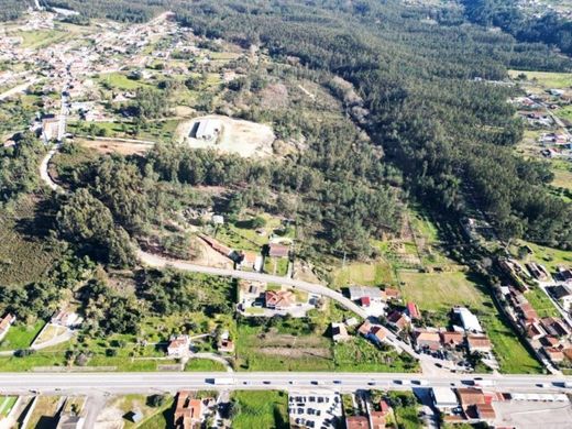 Terrain à Pombal, Distrito de Leiria