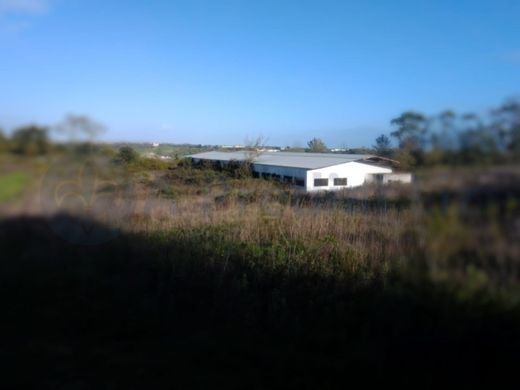 Участок, Сантарен, Santarém