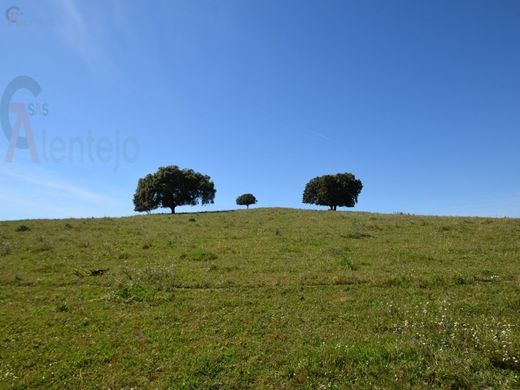 Terrain à Souzel, Sousel